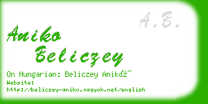 aniko beliczey business card